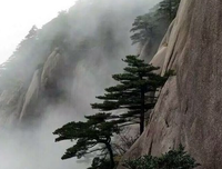 最新的余云飞15句经典名言