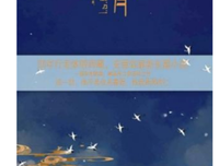2018安意如经典句子