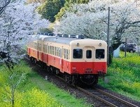 最经典的《猜火车》经典句子