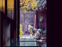 最全的《叶落无题》经典语录