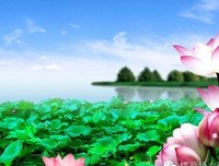 最全的《圣空甘露》语录摘抄大全