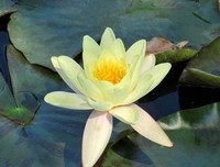 《晴天歆羡》小说句子