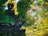 悦读的句子