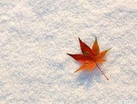 收藏1的句子