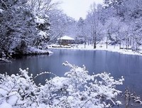 海飘雪的名言