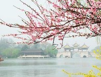 金国栋的名言