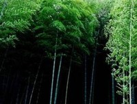 最全的《百度知道》经典名句