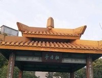 最经典的《韶光岛屿》小说摘抄