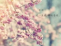 最新的陈祥炎经典语录