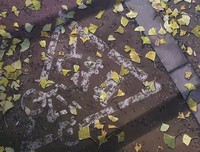 《秒速5厘米》电影台词