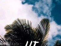 最经典的《大鱼·海棠》语录摘抄