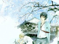 最新的《梧桐那么伤》名句欣赏