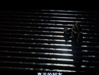 最经典的《海上钢琴师》经典台词