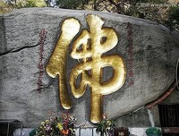 集的优美句子