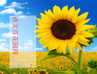 关于赤心相待的优美句子
