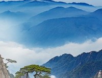 有关彩虹之门名言警句