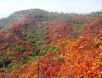 最全的《灵性深处开莲花》散文美句