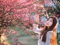 最新的《为安格的雪样年华》经典语录大全