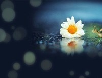 最经典的《我不愿让你一个人》经典句子