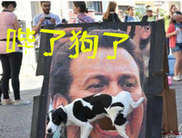 孩子，我在等你犯错