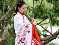 最新的《穿越网潘来心音飘零》小说句子