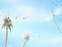 那年你曾仰望星空句子大全