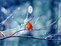 《匆匆说风走年》经典的句子大全