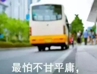 关于小白经典句子