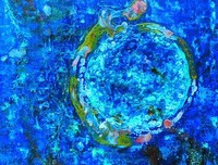 2018星梦的名言