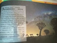 《星辰时刻》语录摘抄大全