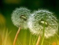 写给心烦、心累、心痛，心情不好的人