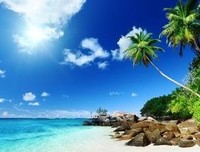 最全的《夜凝夕》经典的句子