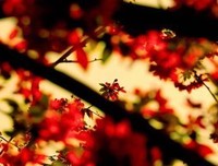 青春~ 潇洒 句子