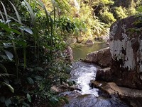 跟着母亲去砍柴