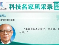 最经典的《小小麦田》名句欣赏