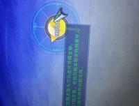关于纯阳的座右铭