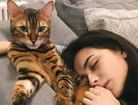 为爱 上他走看入时子 为你 所把能路在以披靡的句子