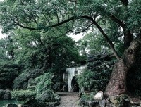女大不中留
