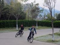 最全的《追风少年》好段摘抄