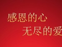最经典的《陆小曼传》经典的句子大全