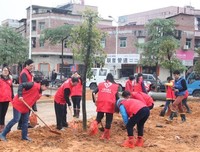 春风又绿我矿，植树相迎何妨——信控学院电信16-6班积