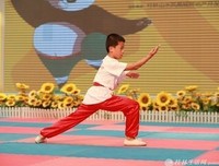 最全的桂小太郎名言大全