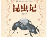最新的《七月与安生》好段摘抄