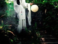 最新的《世界微尘里》经典的句子
