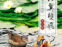 最好的爱情，是互相成全