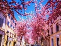 最全的《孤芳不自赏》语录摘抄大全