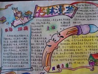 最全的《最美的时光》好段摘抄