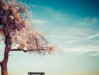 “微信备注暴露了他爱你的方式。”|真正的分手，从改微