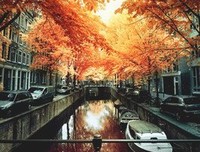 关于刻地的格言