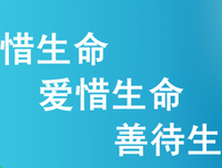 最新的《隐藏的和谐》名句欣赏大全